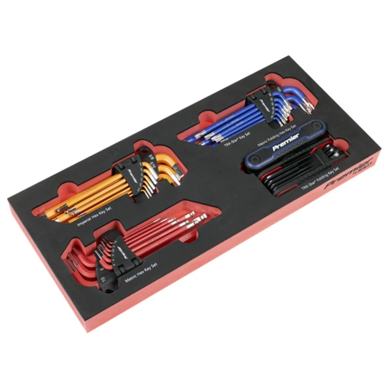 Premier Master Key Set with Tool Tray 43pc - SE-TBT62
